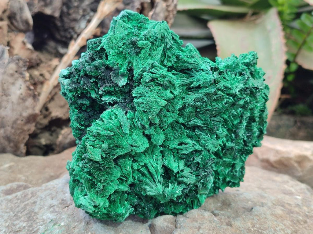 Natural Silky Malachite Specimens x 2 From Kasompe, Congo - Toprock Gemstones and Minerals 