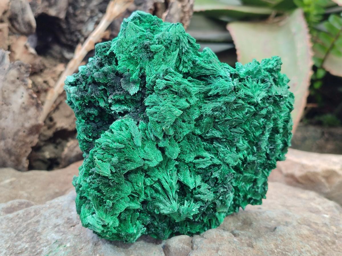 Natural Silky Malachite Specimens x 2 From Kasompe, Congo - Toprock Gemstones and Minerals 