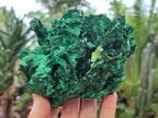 Natural Silky Malachite Specimens x 2 From Kasompe, Congo - Toprock Gemstones and Minerals 