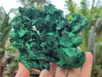Natural Silky Malachite Specimens x 2 From Kasompe, Congo - Toprock Gemstones and Minerals 