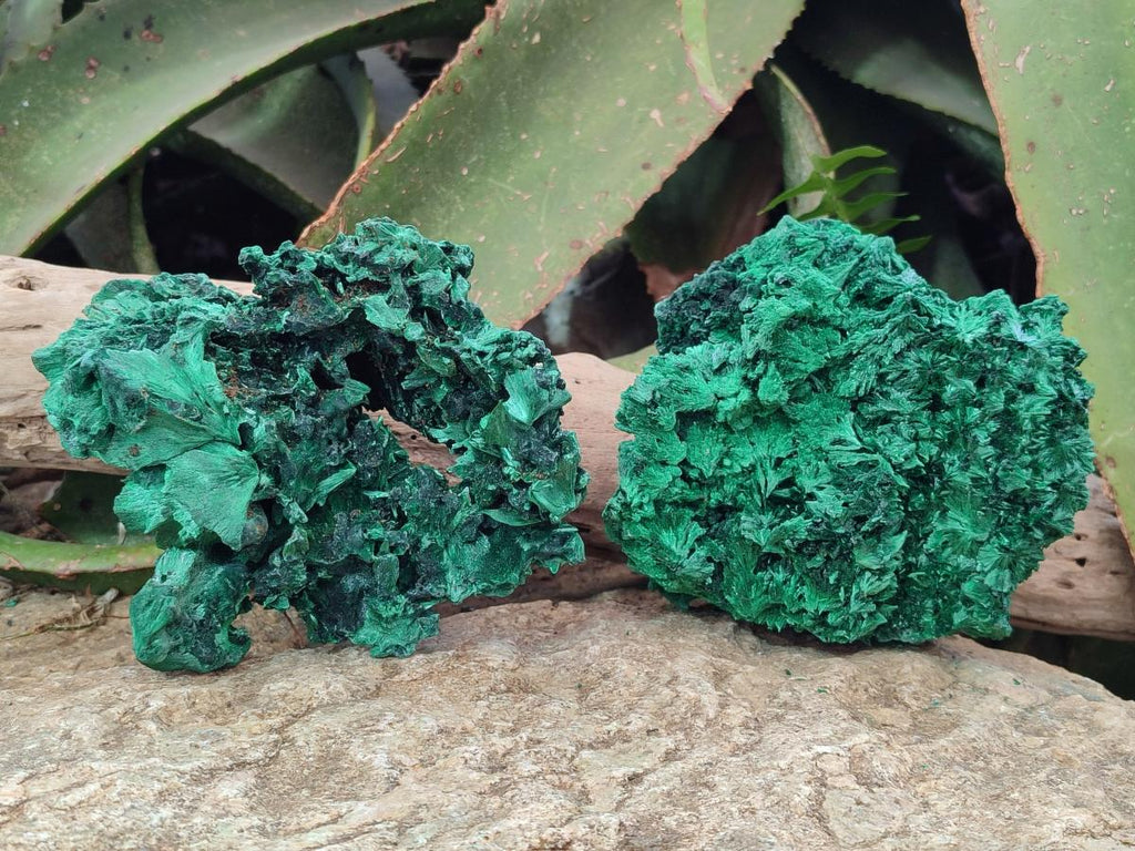 Natural Silky Malachite Specimens x 2 From Kasompe, Congo - Toprock Gemstones and Minerals 