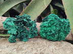 Natural Silky Malachite Specimens x 2 From Kasompe, Congo - Toprock Gemstones and Minerals 