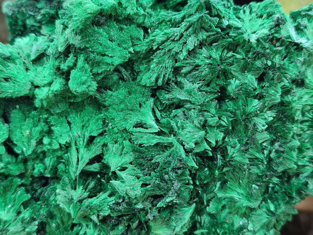 Natural Silky Malachite Specimens x 2 From Kasompe, Congo - Toprock Gemstones and Minerals 