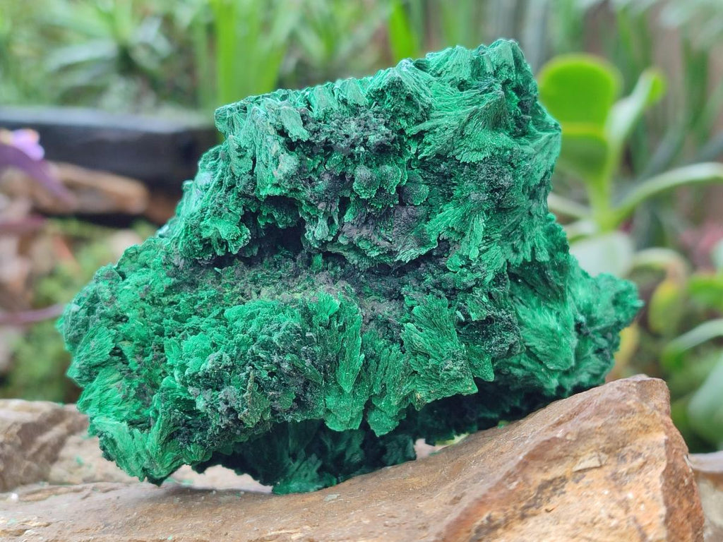 Natural Silky Malachite Specimens x 2 From Kasompe, Congo - Toprock Gemstones and Minerals 