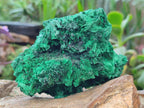 Natural Silky Malachite Specimens x 2 From Kasompe, Congo - Toprock Gemstones and Minerals 