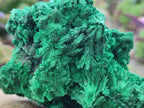 Natural Silky Malachite Specimens x 2 From Kasompe, Congo - Toprock Gemstones and Minerals 