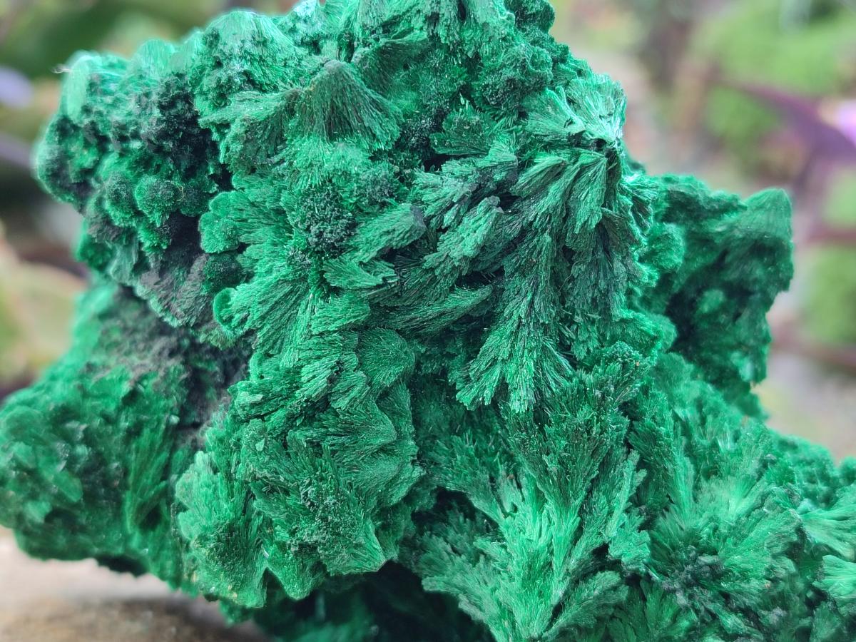 Natural Silky Malachite Specimens x 2 From Kasompe, Congo - Toprock Gemstones and Minerals 