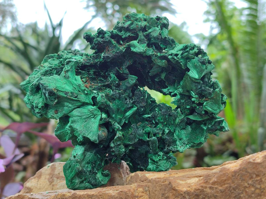 Natural Silky Malachite Specimens x 2 From Kasompe, Congo - Toprock Gemstones and Minerals 