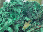 Natural Silky Malachite Specimens x 2 From Kasompe, Congo - Toprock Gemstones and Minerals 
