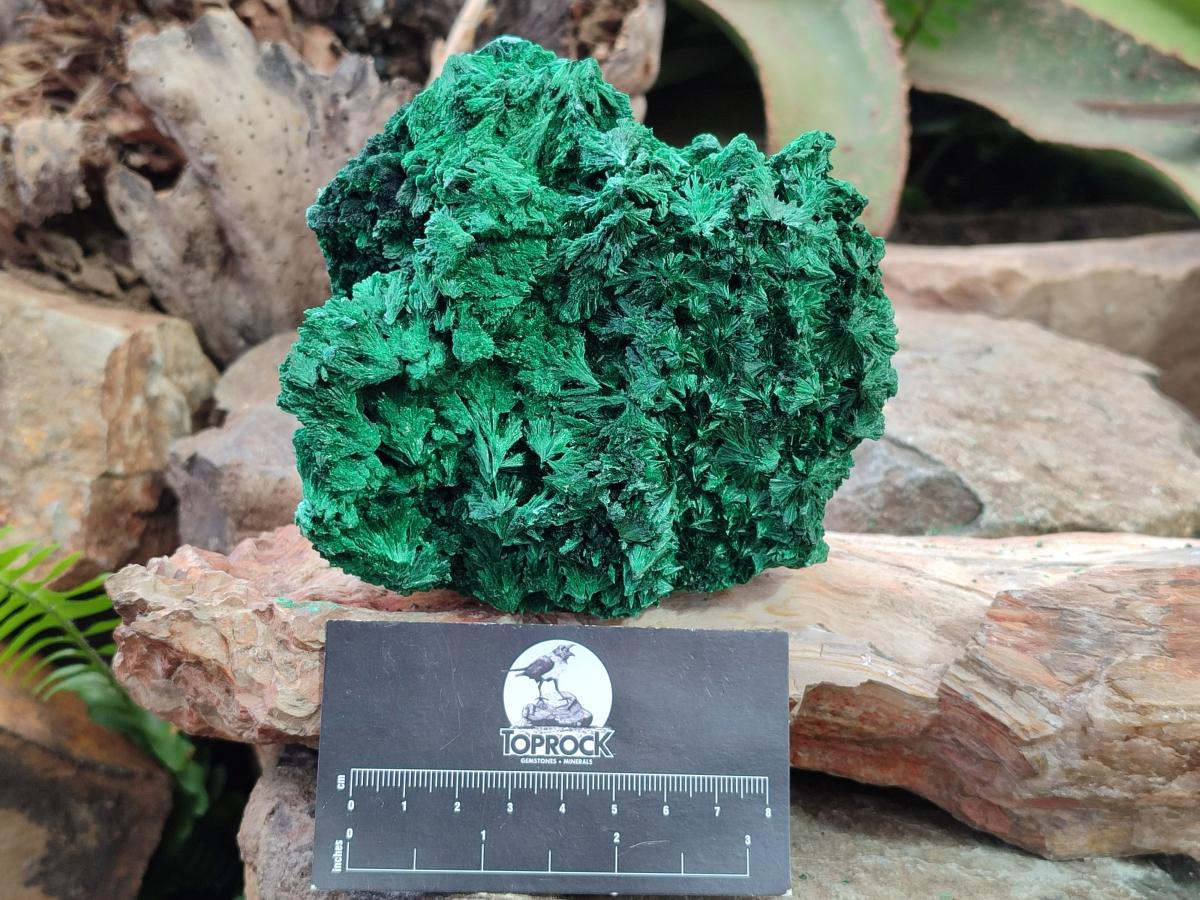 Natural Silky Malachite Specimens x 2 From Kasompe, Congo - Toprock Gemstones and Minerals 