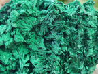 Natural Silky Malachite Specimens x 2 From Kasompe, Congo - Toprock Gemstones and Minerals 