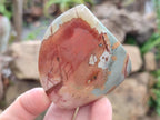 Polished Polychrome Jasper Standing Display Pieces x 6 From Androka, Madagascar - Toprock Gemstones and Minerals 