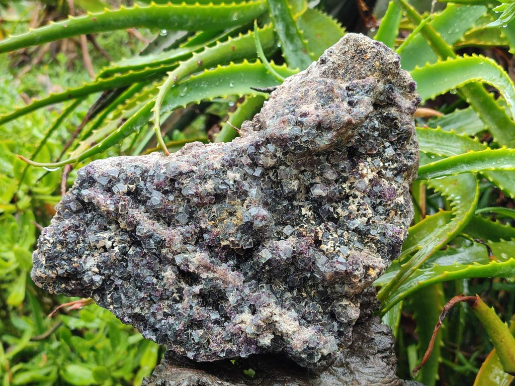 Natural Large Green-Blue Cubic Fluorite Specimen x 1 From Erongo, Namibia - Toprock Gemstones and Minerals 