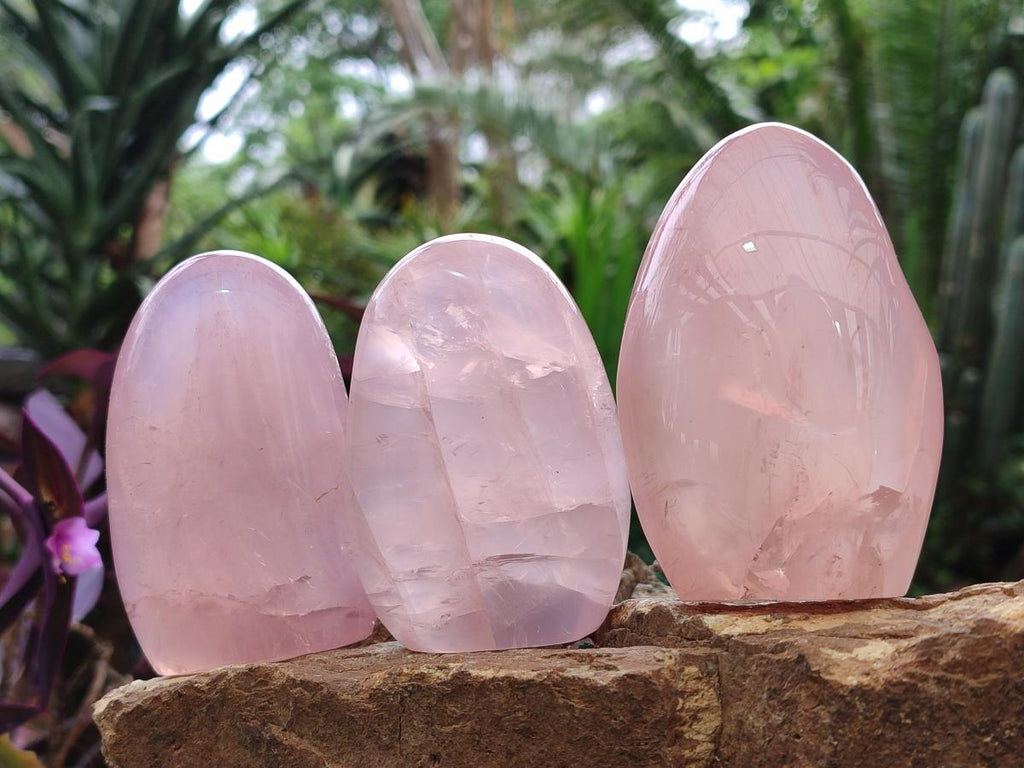 Polished Gemmy Rose Quartz Standing Display Pieces x 7 From Madagascar - Toprock Gemstones and Minerals 