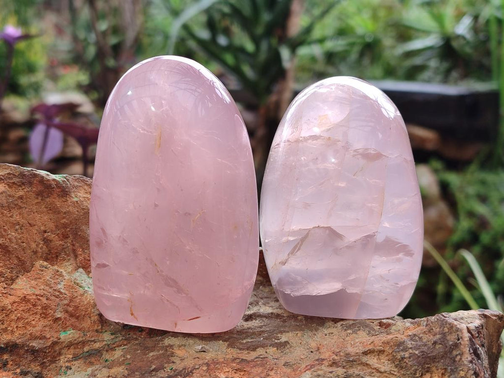 Polished Gemmy Rose Quartz Standing Display Pieces x 7 From Madagascar - Toprock Gemstones and Minerals 