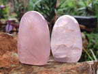 Polished Gemmy Rose Quartz Standing Display Pieces x 7 From Madagascar - Toprock Gemstones and Minerals 