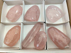 Polished Gemmy Rose Quartz Standing Display Pieces x 7 From Madagascar - Toprock Gemstones and Minerals 