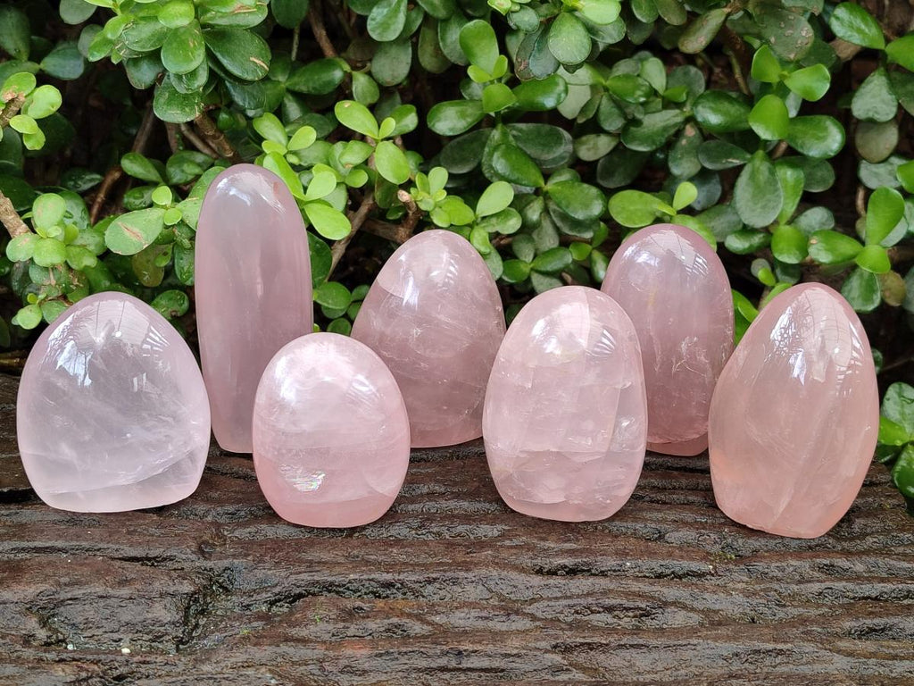 Polished Gemmy Rose Quartz Standing Display Pieces x 7 From Madagascar - Toprock Gemstones and Minerals 