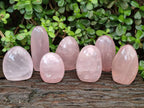 Polished Gemmy Rose Quartz Standing Display Pieces x 7 From Madagascar - Toprock Gemstones and Minerals 