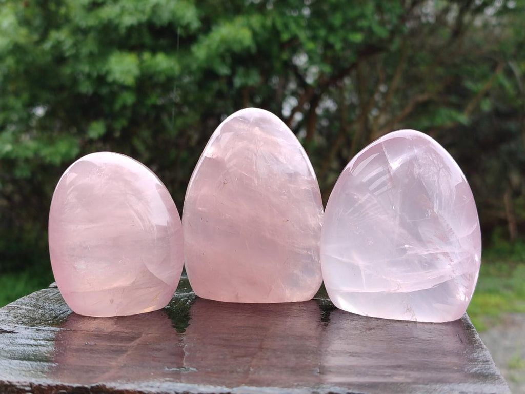 Polished Gemmy Rose Quartz Standing Display Pieces x 7 From Madagascar - Toprock Gemstones and Minerals 