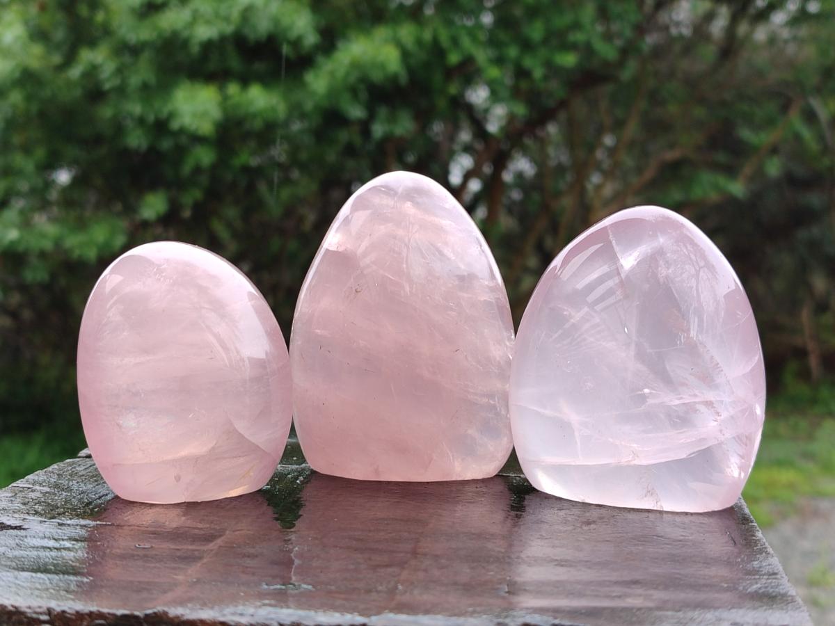 Polished Gemmy Rose Quartz Standing Display Pieces x 7 From Madagascar - Toprock Gemstones and Minerals 