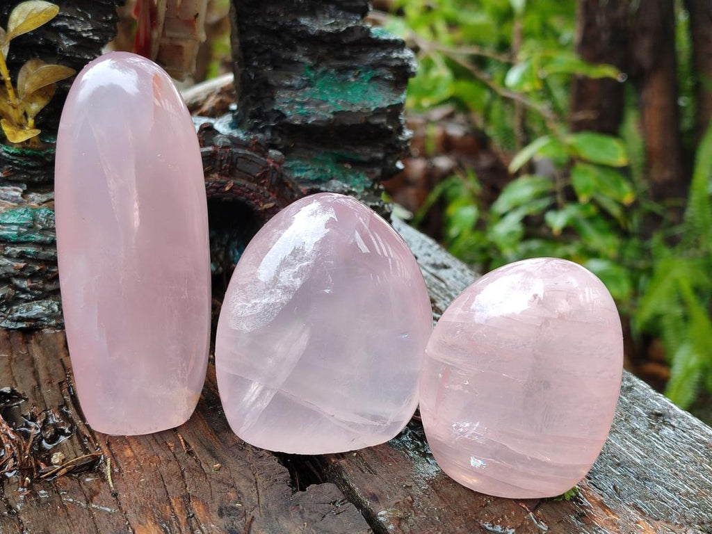 Polished Gemmy Rose Quartz Standing Display Pieces x 7 From Madagascar - Toprock Gemstones and Minerals 