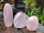 Polished Gemmy Rose Quartz Standing Display Pieces x 7 From Madagascar - Toprock Gemstones and Minerals 