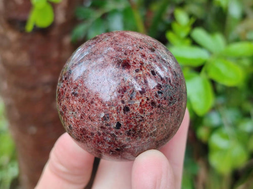 Polished Pyrope Garnet Spheres x 6 From Mahajanga, Madagascar - Toprock Gemstones and Minerals 