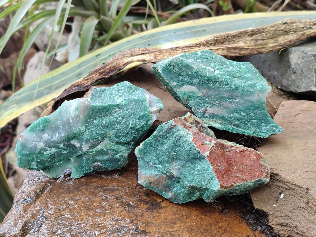 Natural Swazi Jade Cobbed Specimens x 12 From Swaziland - Toprock Gemstones and Minerals 