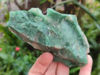 Natural Swazi Jade Cobbed Specimens x 12 From Swaziland - Toprock Gemstones and Minerals 