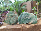 Natural Swazi Jade Cobbed Specimens x 12 From Swaziland - Toprock Gemstones and Minerals 