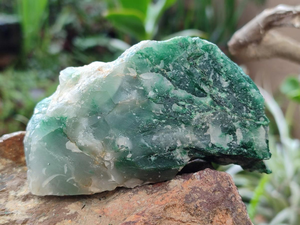 Natural Swazi Jade Cobbed Specimens x 12 From Swaziland - Toprock Gemstones and Minerals 