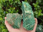 Natural Swazi Jade Cobbed Specimens x 12 From Swaziland - Toprock Gemstones and Minerals 