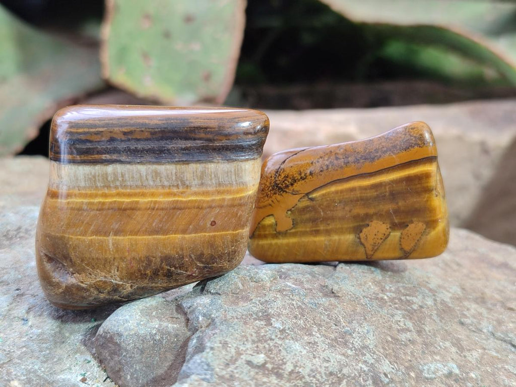Polished Golden Tigers Eye Tumbled Free Forms x 70 From Prieska, South Africa - Toprock Gemstones and Minerals 