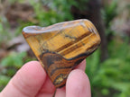 Polished Golden Tigers Eye Tumbled Free Forms x 70 From Prieska, South Africa - Toprock Gemstones and Minerals 