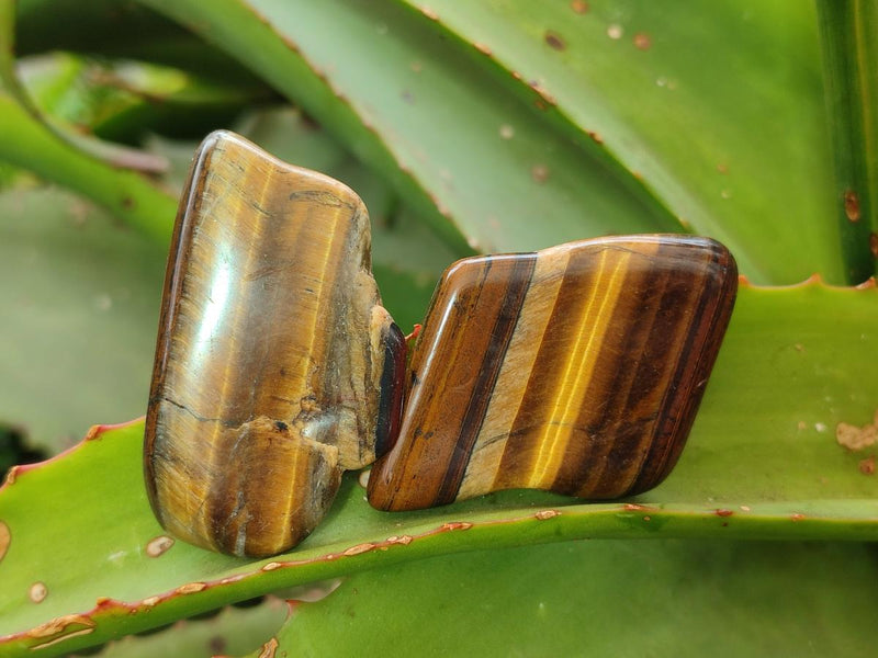 Polished Golden Tigers Eye Tumbled Free Forms x 70 From Prieska, South Africa - Toprock Gemstones and Minerals 
