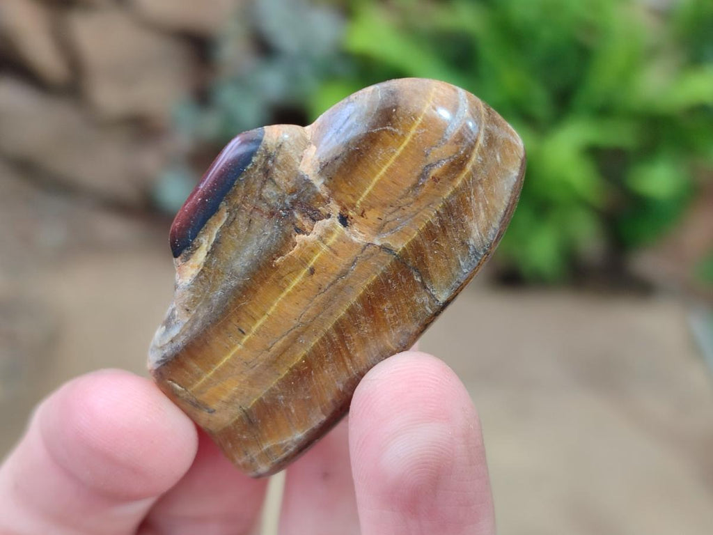 Polished Golden Tigers Eye Tumbled Free Forms x 70 From Prieska, South Africa - Toprock Gemstones and Minerals 