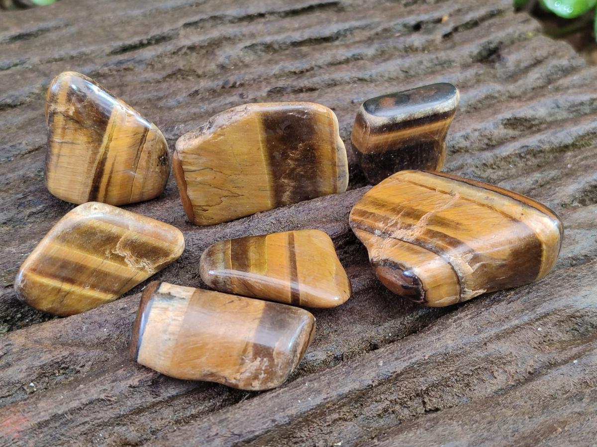 Polished Golden Tigers Eye Tumbled Free Forms x 70 From Prieska, South Africa - Toprock Gemstones and Minerals 