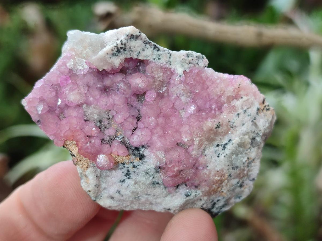 Natural Spherocobaltite Specimens x 35 From Mashamba West Mine, Congo - Toprock Gemstones and Minerals 