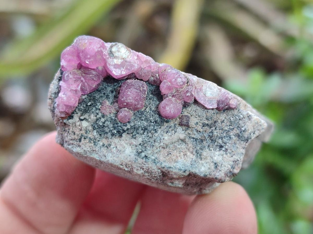 Natural Spherocobaltite Specimens x 35 From Mashamba West Mine, Congo - Toprock Gemstones and Minerals 