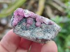 Natural Spherocobaltite Specimens x 35 From Mashamba West Mine, Congo - Toprock Gemstones and Minerals 