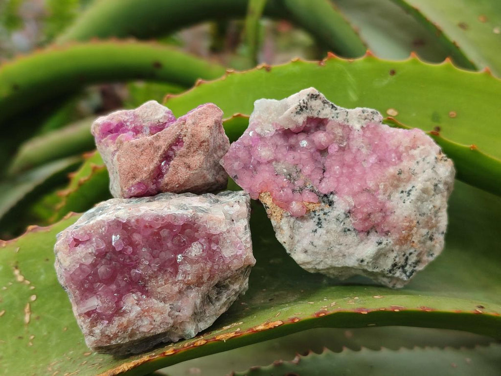 Natural Spherocobaltite Specimens x 35 From Mashamba West Mine, Congo - Toprock Gemstones and Minerals 