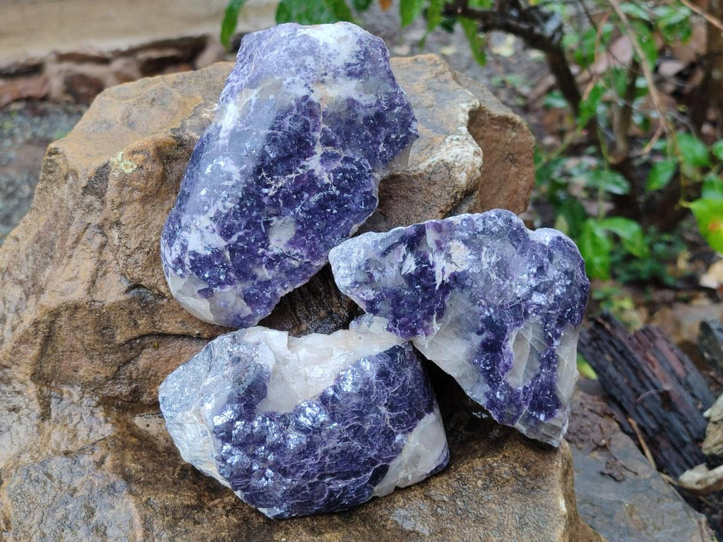 Polished One Side Lithium Silver Leaf Lepidolite Specimens x 6 From Zimbabwe - Toprock Gemstones and Minerals 