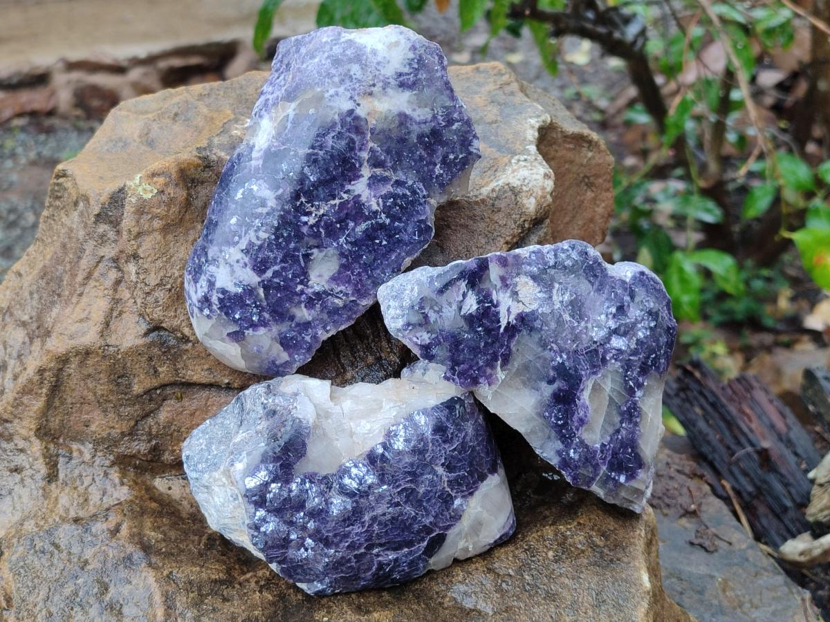 Polished One Side Lithium Silver Leaf Lepidolite Specimens x 6 From Zimbabwe - Toprock Gemstones and Minerals 