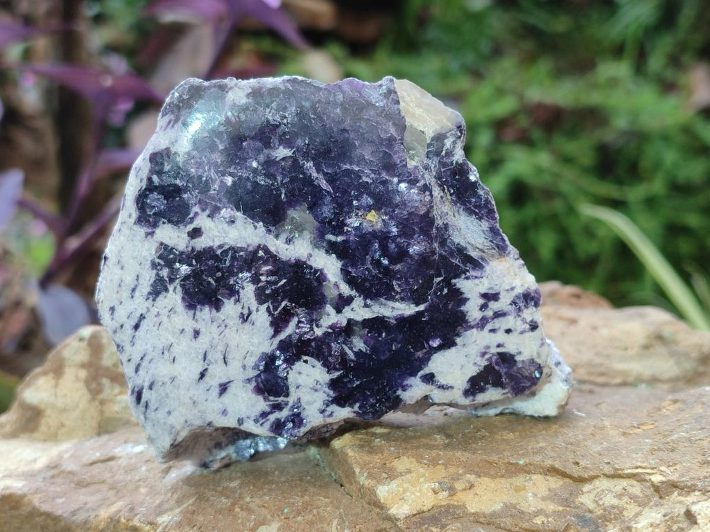 Polished One Side Lithium Silver Leaf Lepidolite Specimens x 6 From Zimbabwe - Toprock Gemstones and Minerals 