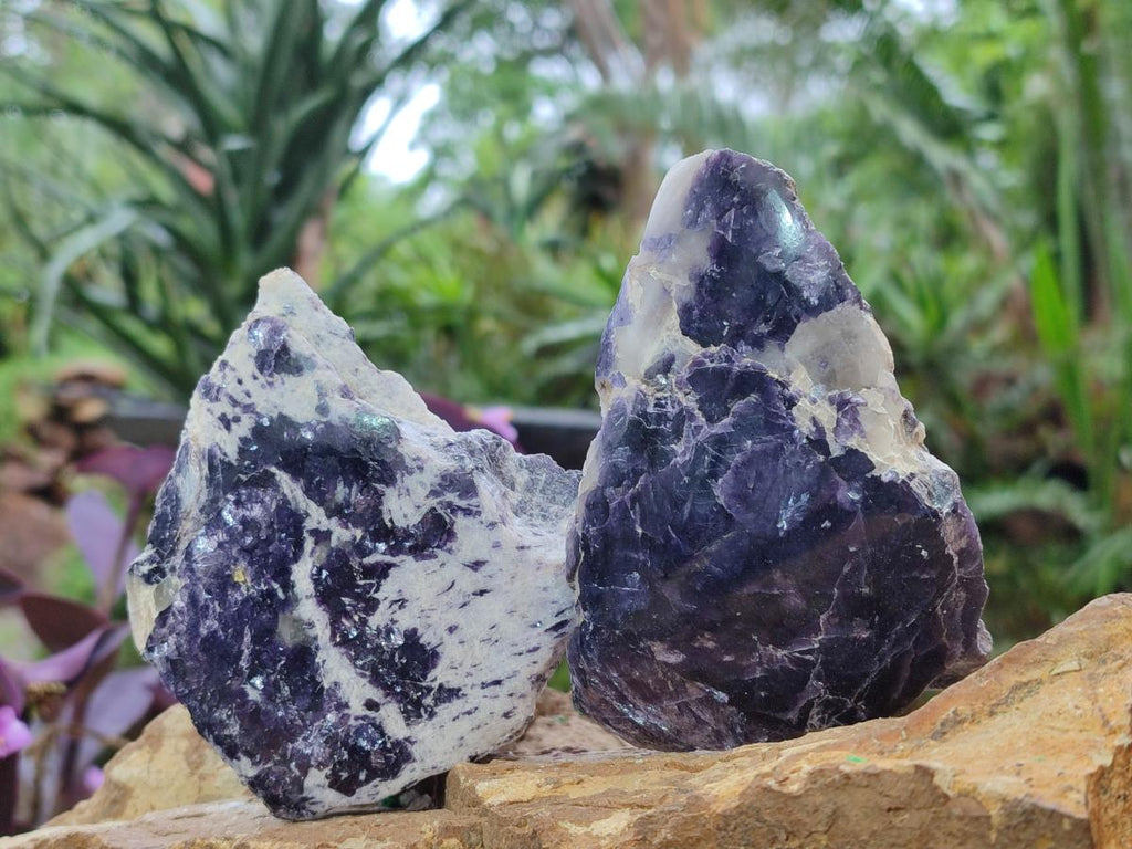 Polished One Side Lithium Silver Leaf Lepidolite Specimens x 6 From Zimbabwe - Toprock Gemstones and Minerals 