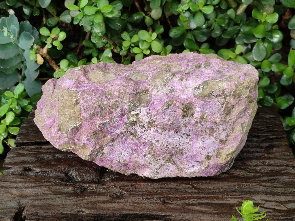 Natural XL Cobbed Stichtite Specimen x 1 From Barberton, South Africa - Toprock Gemstones and Minerals 