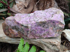 Natural XL Cobbed Stichtite Specimen x 1 From Barberton, South Africa - Toprock Gemstones and Minerals 