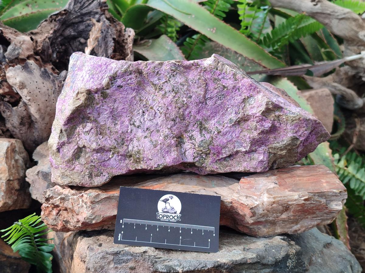 Natural XL Cobbed Stichtite Specimen x 1 From Barberton, South Africa - Toprock Gemstones and Minerals 