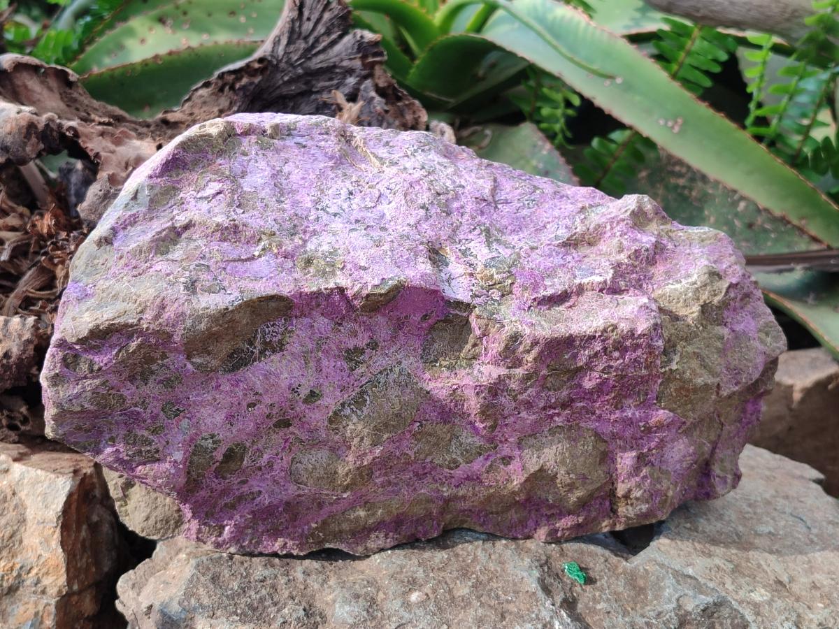 Natural XL Cobbed Stichtite Specimen x 1 From Barberton, South Africa - Toprock Gemstones and Minerals 